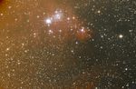 NGC 2264