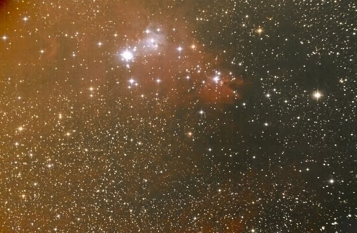 NGC 2264