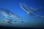 Nuages tordus