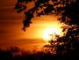 Coucher de soleil au pied des chenes (3)