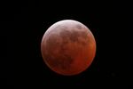 totalité eclipse de lune