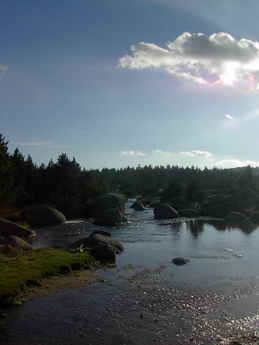 Le jeune Tarn en contre-jour (direction Sud-Ouest)