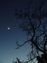 CONJONCTION  LUNE-VENUS