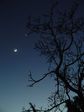 CONJONCTION  LUNE-VENUS