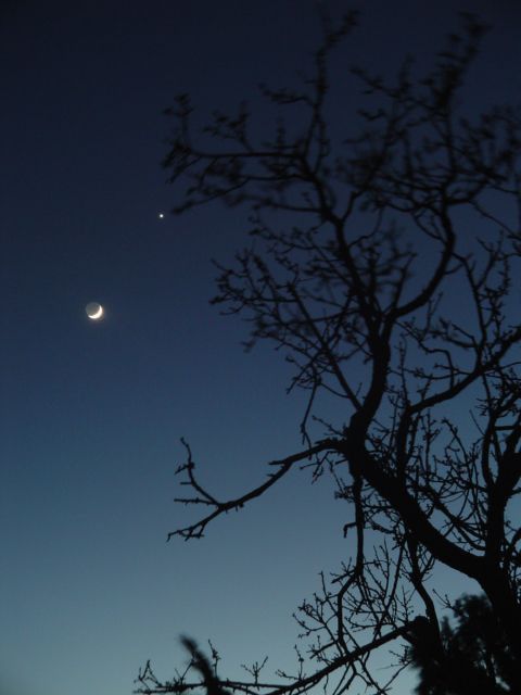 CONJONCTION  LUNE-VENUS