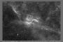 'X' Nebulae (DWB 111/118/119)