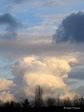 Cumulus congestus 01