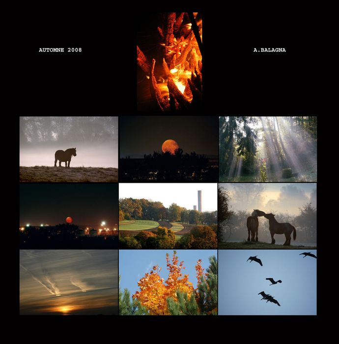 automne 2008