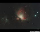 Un oiseau de feu dans la nuit !