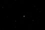 M13