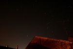 petitchien-monoceros-orion