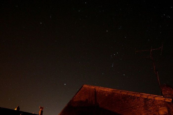 petitchien-monoceros-orion