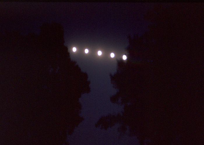 Lune multiple entre arbres