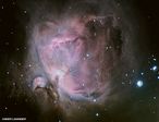 M42