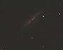 M82