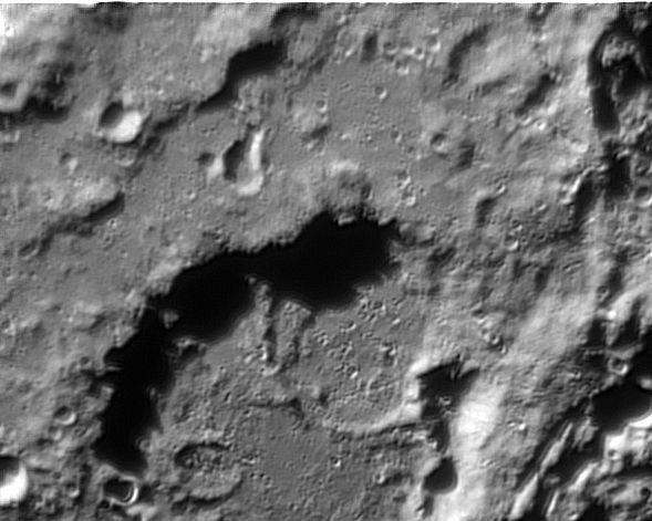 Cyrillus B nouv.