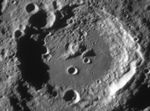 Maurolycus