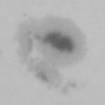 Evolution d'une tache solaire