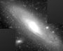 M31