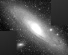 M31