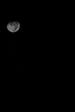lune et pléaides