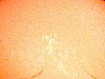 Coeur ardent sur plasma solaire