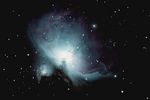 M 42