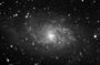M33