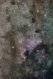 NGC7000 en IdF