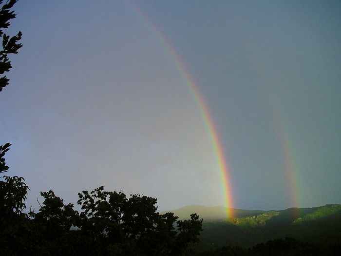 arc double(détail)