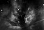 Flammes (ngc 2024)