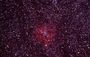 IC 1396