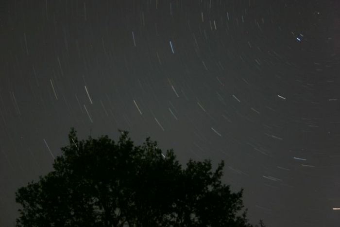 Le ciel tourne au dessus d'un grand chene.