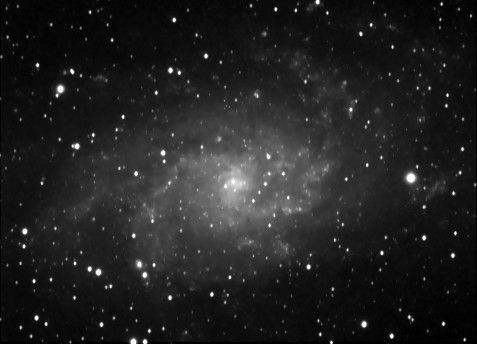 M33