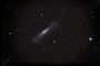 NGC 3628 .Lion