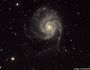 M101