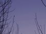 animation du coucher de venus