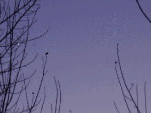 animation du coucher de venus