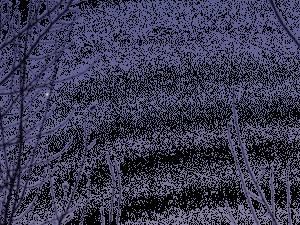 animation du coucher de venus