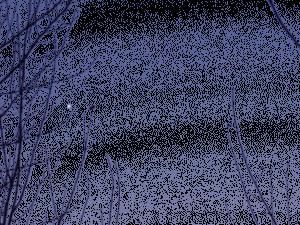 animation du coucher de venus