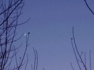 animation du coucher de venus