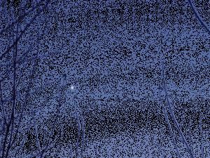 animation du coucher de venus