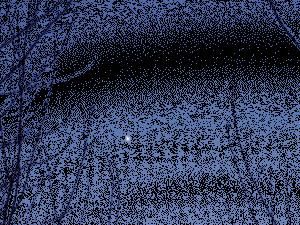 animation du coucher de venus