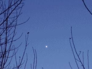 animation du coucher de venus