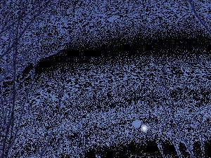 animation du coucher de venus