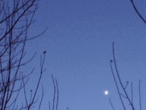 animation du coucher de venus