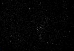 Orion