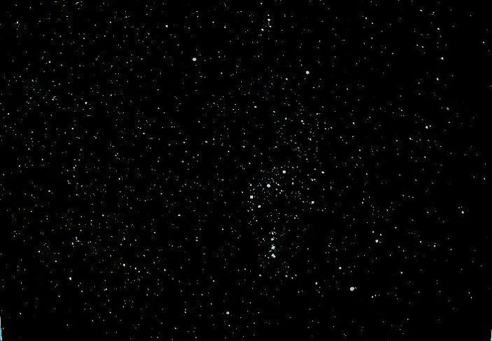 Orion