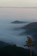 la mer de nuages vue du Kienberg