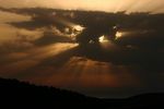 Rayons.